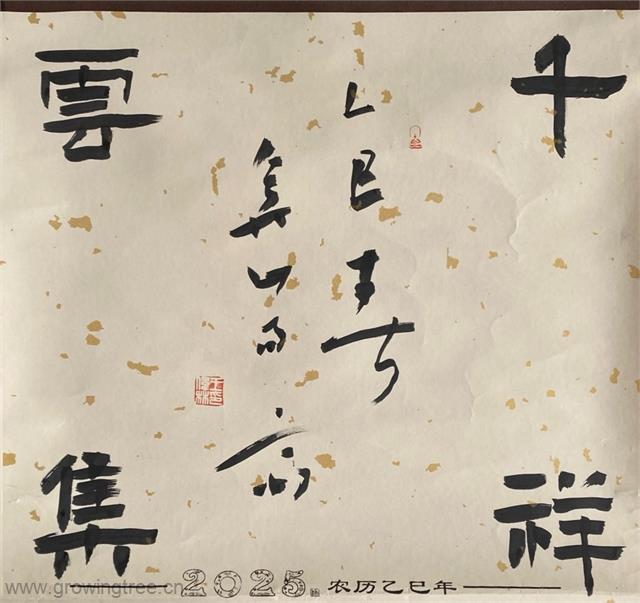 王伟林主席.jpg 王伟林主席.jpg