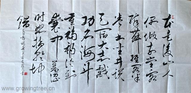 172李飞飞书法作品.jpg