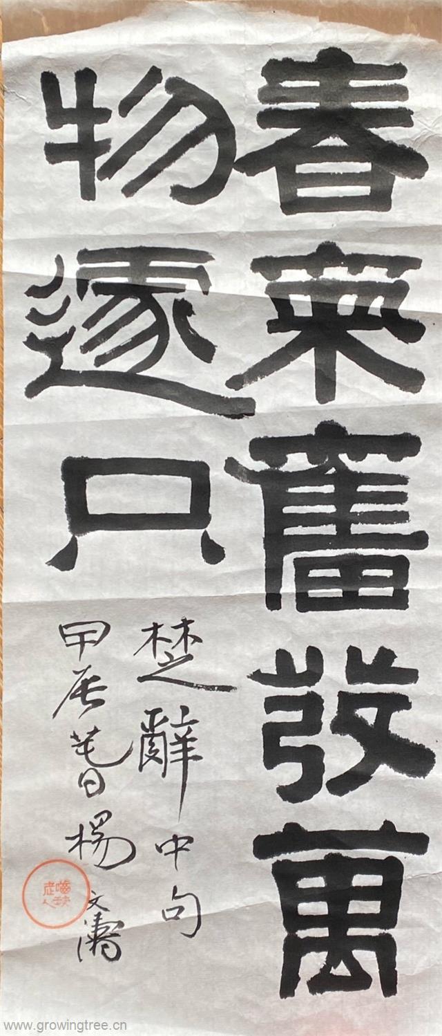 杨文涛(阙文政提供).jpg 杨文涛(阙文政提供).jpg