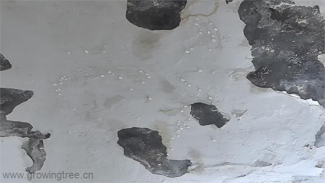 微信图片_20250918073920.jpg 微信图片_20250918073920.jpg