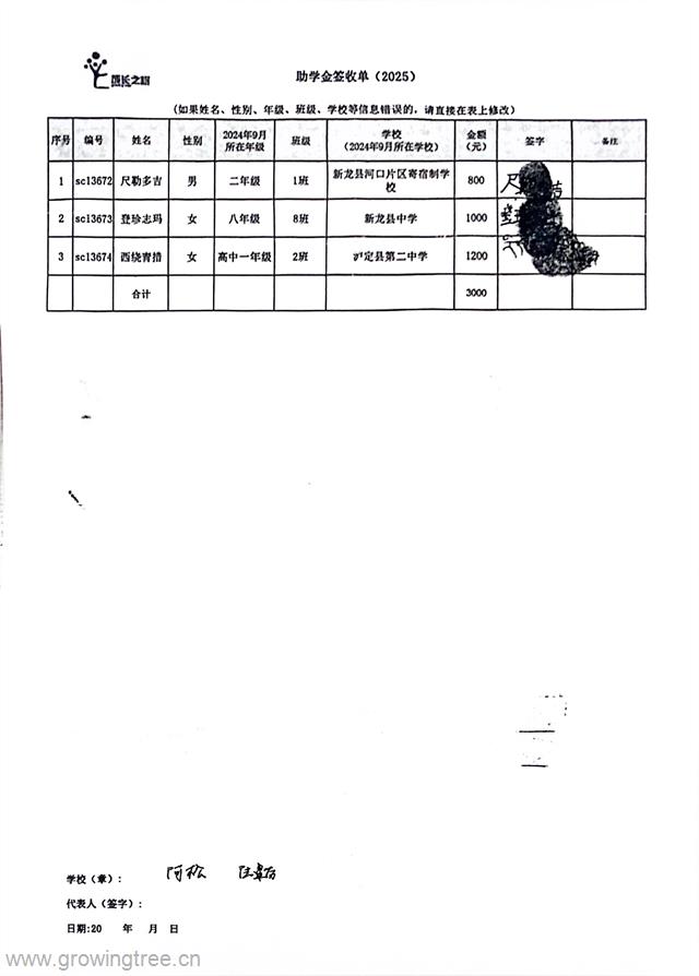新龙.jpg