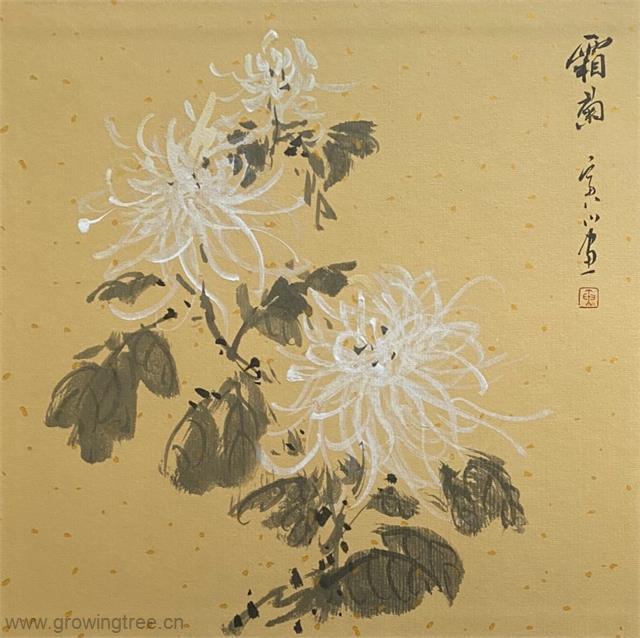 寅川_霜菊.jpg 寅川_霜菊.jpg
