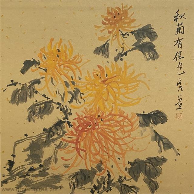 寅川_秋菊.jpg 寅川_秋菊.jpg