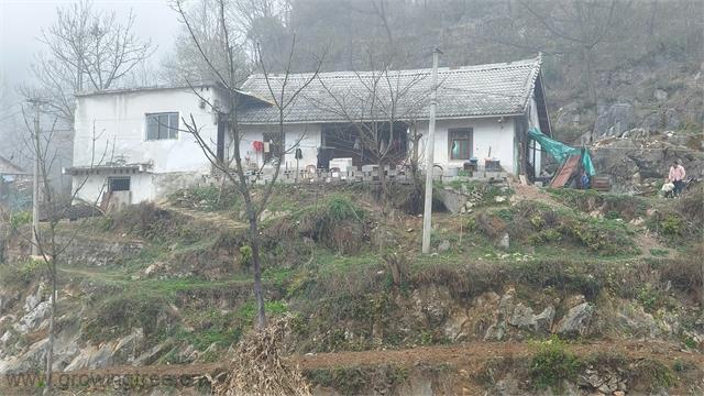 杨杰.jpg