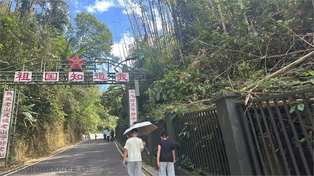 微信图片_20260711154014_379_199.jpg