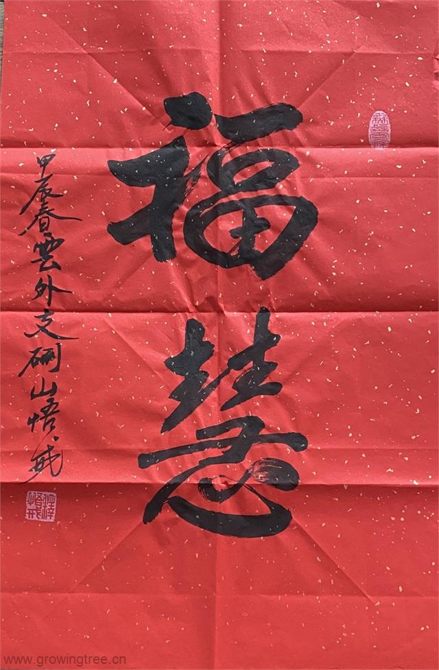 福慧.jpg 福慧.jpg