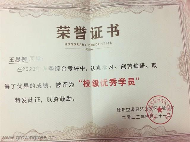 王思柳证书.jpg 王思柳证书.jpg
