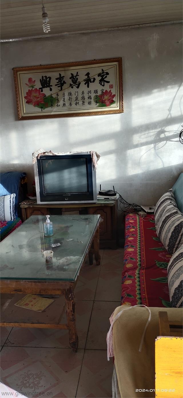 3.jpg 3.jpg