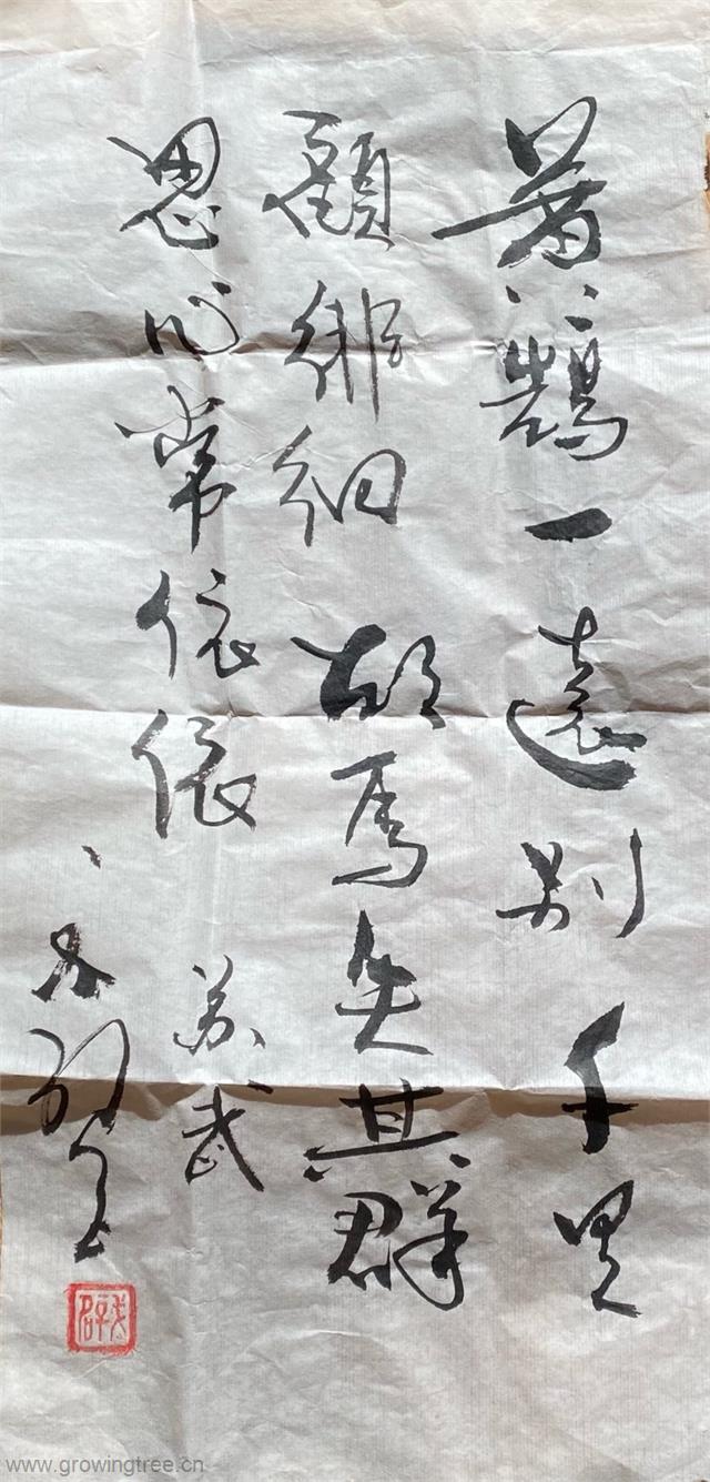 戈壁大使(微雕).jpg 戈壁大使(微雕).jpg