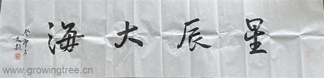 星辰大海 邱文颖.jpg 星辰大海 邱文颖.jpg