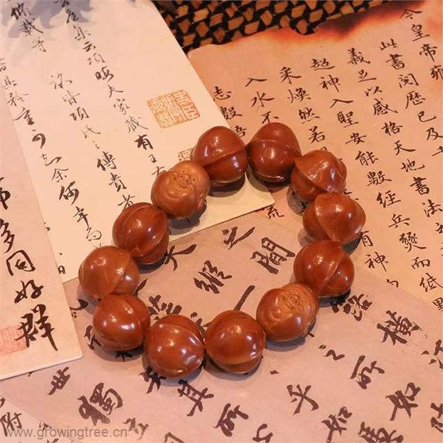 鲨鱼背核雕手串.jpg
