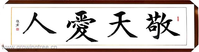 敬天爱人 能量岛林小椕捐.jpg