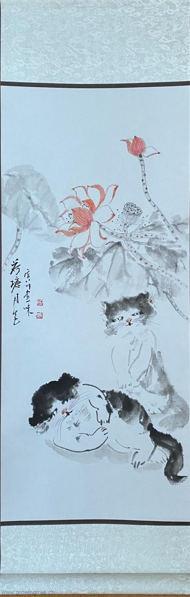 猫 寅川老师.jpg 猫 寅川老师.jpg
