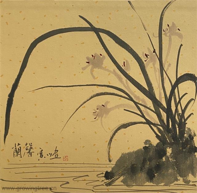寅川_兰.jpg 寅川_兰.jpg
