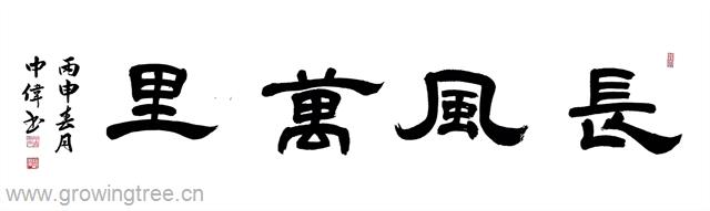 长风万里 中伟师父.jpg 长风万里 中伟师父.jpg