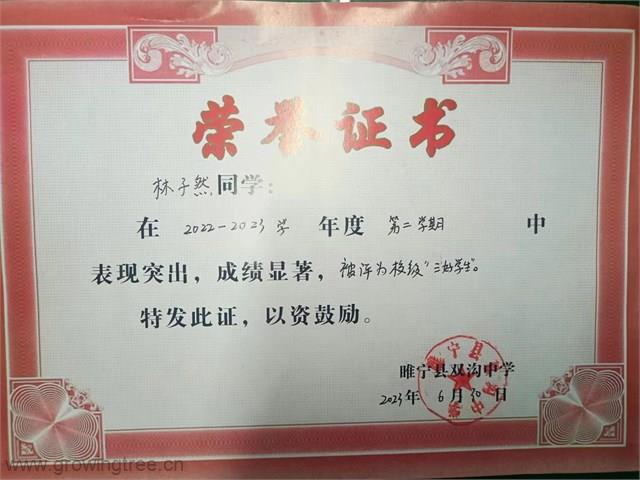 林2.jpg