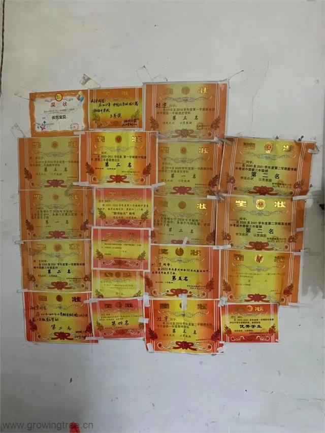 13.jpg 13.jpg