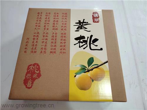 微信图片_20240730151530.jpg